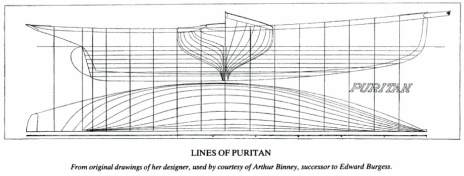Lines of Puritan : books.google