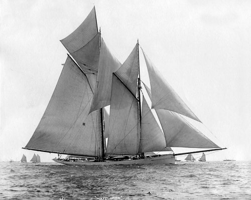 Yacht 'Mayflower' - The Yacht Photography Collection of J. S. Johnston