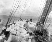 1577-View of crew lying along Shamrock's bows. c1900.