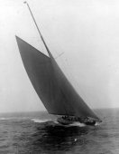 226-Shamrock III under sail. 1920.
