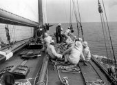 196-Shamrock IV crew at work, under sail. 1920.