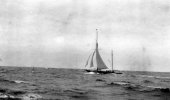 537-Shamrock IV enroute from the Azores to Bermuda. August 1914.