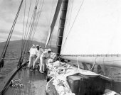 1588-View of Shamrock's crew working on sails. c1900.