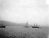 Shamrock passes training ship at Fairlie. August 1899.