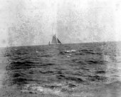Shamrock under a stiff breeze. August 1899.