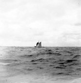 Shamrock sailing with square stay sail set. August 1899.