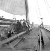 Bow view of the Shamrock in the mid-Atlantic. August 1899.