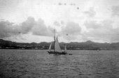 Shamrock in ocean rig. 1899.