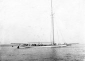 1081-Shamrock II at Hythe. May 1901.