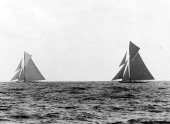 269-Shamrock II (left) and Columbia. 1901.